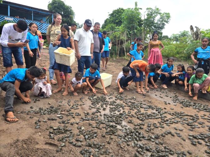 Parintins apoia projeto de manejo de quelônios na zona rural