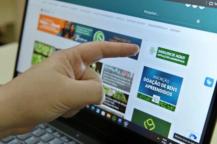 Novo canal: saiba como denunciar infrações ambientais no Amazonas