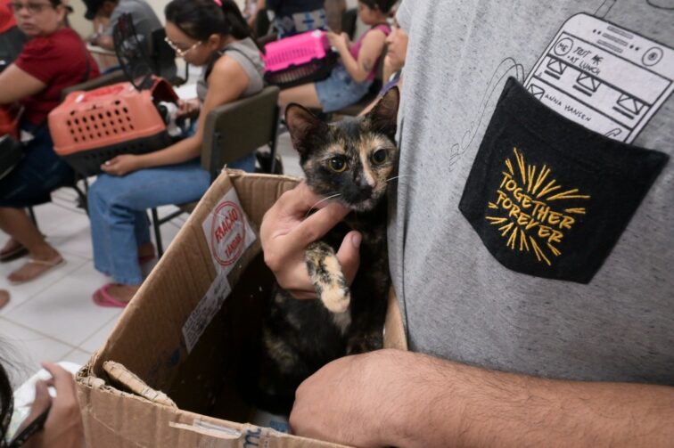 Agendamento para castração de cães e gatos oferece 50 vagas em Presidente Figueiredo