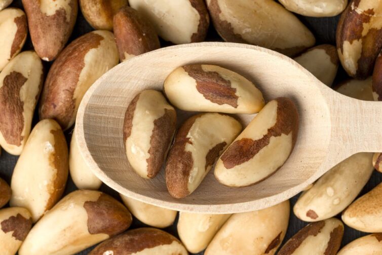 Saiba por que Tefé é conhecida como 'Terra da Castanha'