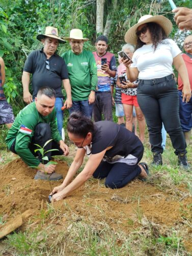 Agricultores de Iranduba e Manacapuru recebem mudas de castanheira