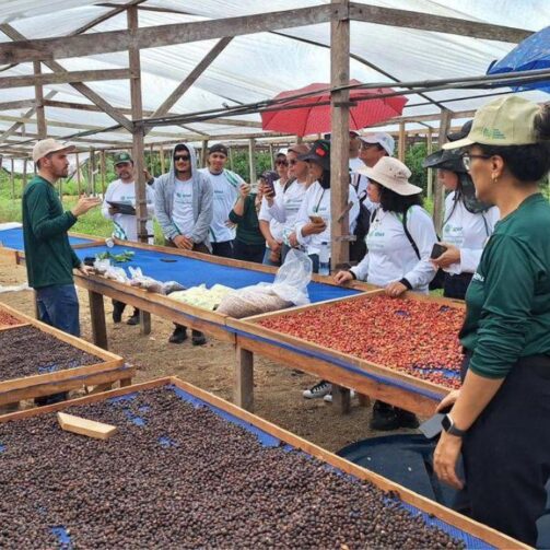 Senar Amazonas anuncia cursos técnicos gratuitos em Tefé e Itacoatiara