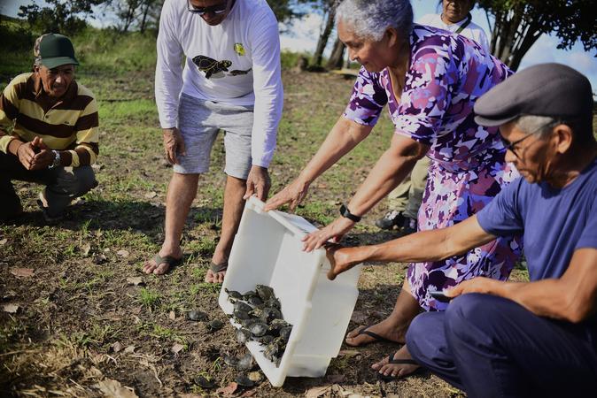 Careiro se destaca na Amazônia com projeto comunitário que protege e devolve tracajás à natureza
