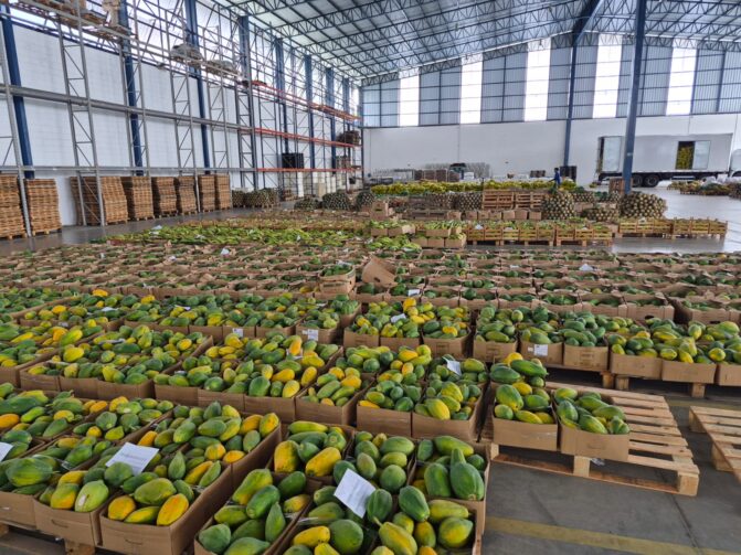 Mais de 250 toneladas de alimentos, oriundos de Itacoatiara, são entregues em escolas estaduais