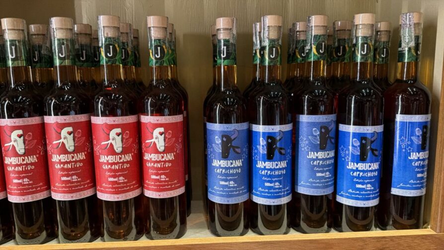 Cachaça de jambu leva sabor amazônico e paixão pelos bumbás para Parintins