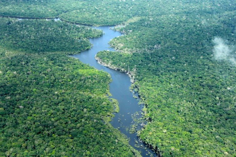 Amazonas tem redução de 57% no desmatamento entre janeiro e maio deste ano