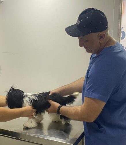 Veterinário leva atendimentos especializados a Manaquiri nos dias 24 e 25 de julho