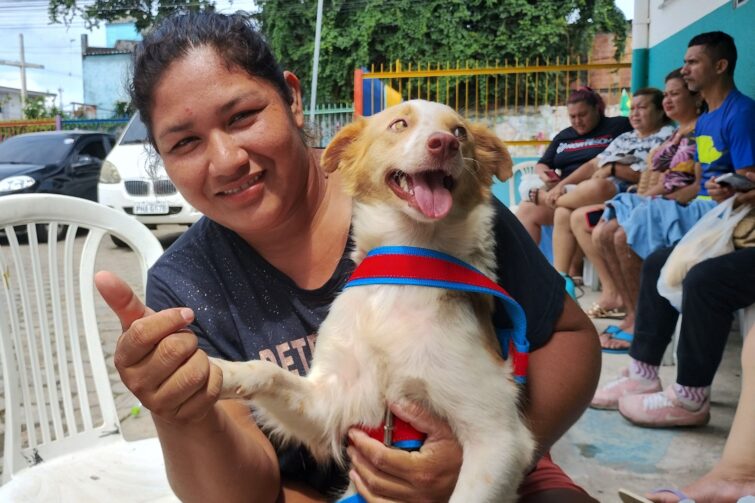 Confira o calendário para castração gratuita de cães e gatos em Manaus