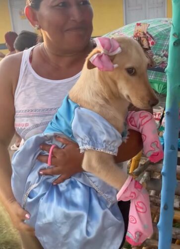 Concurso elege cachorro mais estiloso durante Festa de São Pedro em Maués