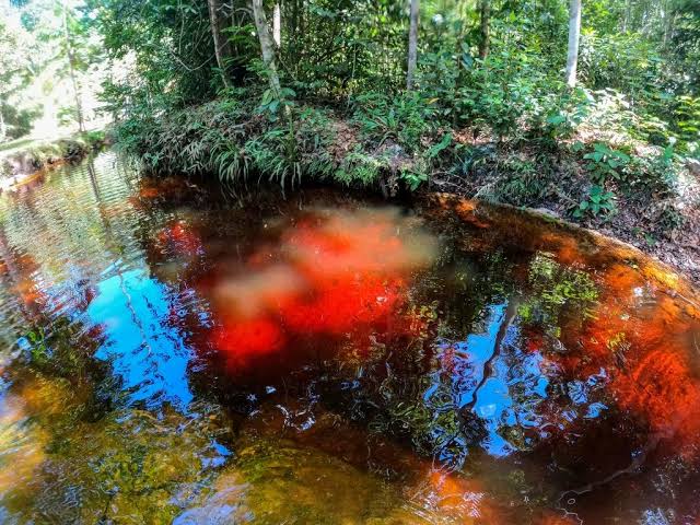 Rio Vermelho: saiba mais sobre o lugar que atrai a curiosidade de turistas em Presidente Figueiredo