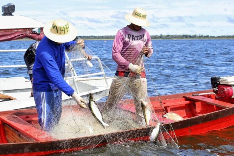 Oficina de pesca reúne pescadores para diagnóstico participativo em Maués