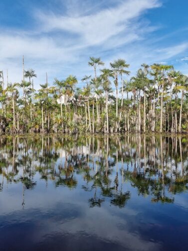 Balneários de Borba atraem visitantes; conheça três opções
