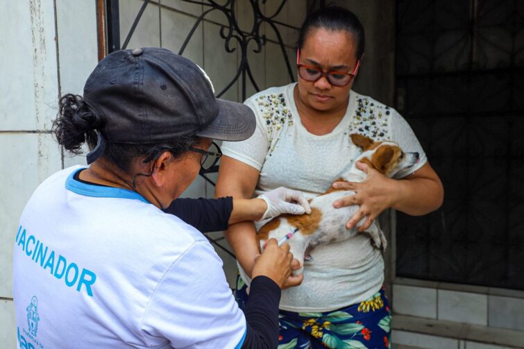 Manaus publica edital de novos convocados para atuação na vacinação antirrábica animal