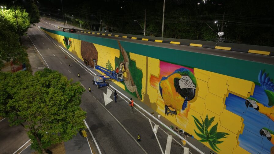 Complexo Viário Miguel Arraes recebe modernização com artes e iluminação
