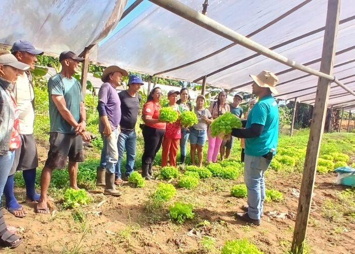 Produtores de Figueiredo, Manacapuru e Rio Preto da Eva são qualificados por meio da Formação Profissional Rural