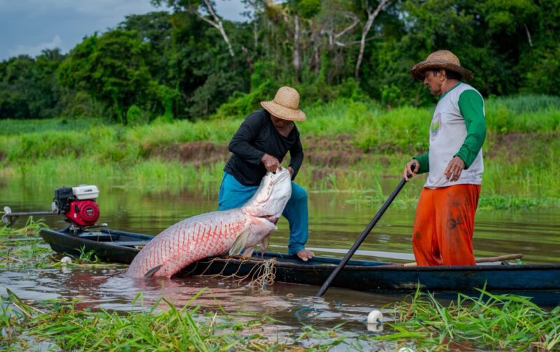 Programa EcoAm estende inscrições para negócios do Amazonas, Acre e Rondônia