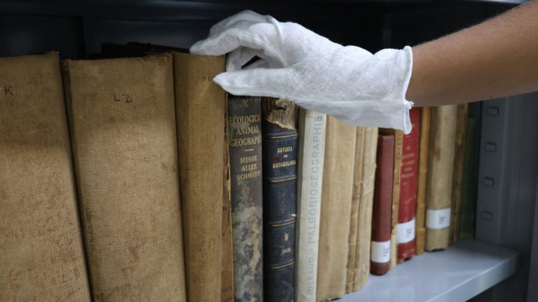 Às margens do Lago Tefé, biblioteca reúne 28 mil obras científicas sobre a Amazônia