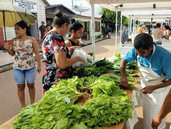 7ª Feira da Agricultura Familiar será realizada nos dias 28 e 29 de agosto em Nova Olinda do Norte