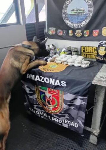 Cão policial localiza carga de haxixe dentro de latas de atum, em Coari