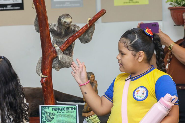 Exposição 'Animais da Amazônia' destaca biodiversidade em shopping de Manaus