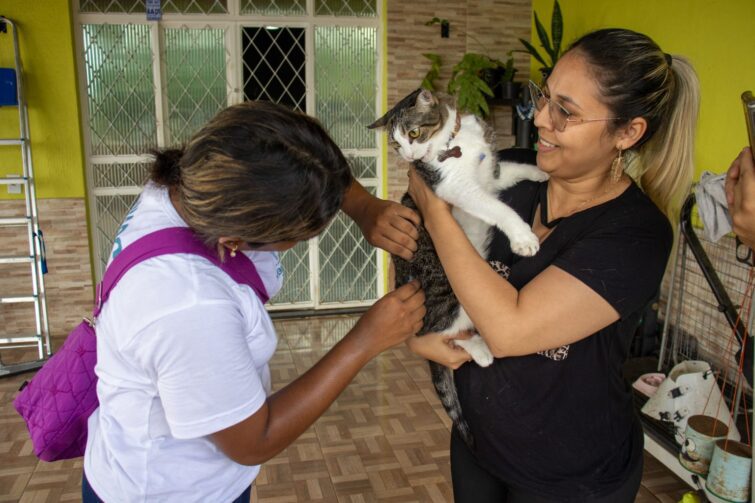 Manaus segue com vacinação de cães e gatos contra raiva nos bairros e em 27 postos fixos