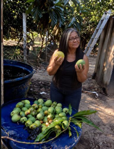 Conheça a rotina da agricultora Maria Odineia no campo, em Coari