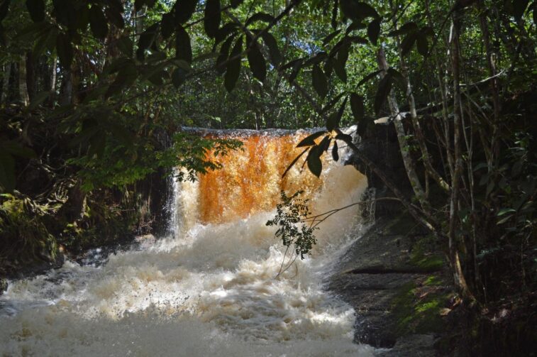 Cachoeira das Araras reúne águas geladas e tranquilidade em Presidente Figueiredo
