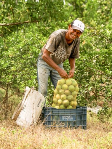 Roraiflora 2026 será realizada no dia 22 de setembro em Rorainópolis