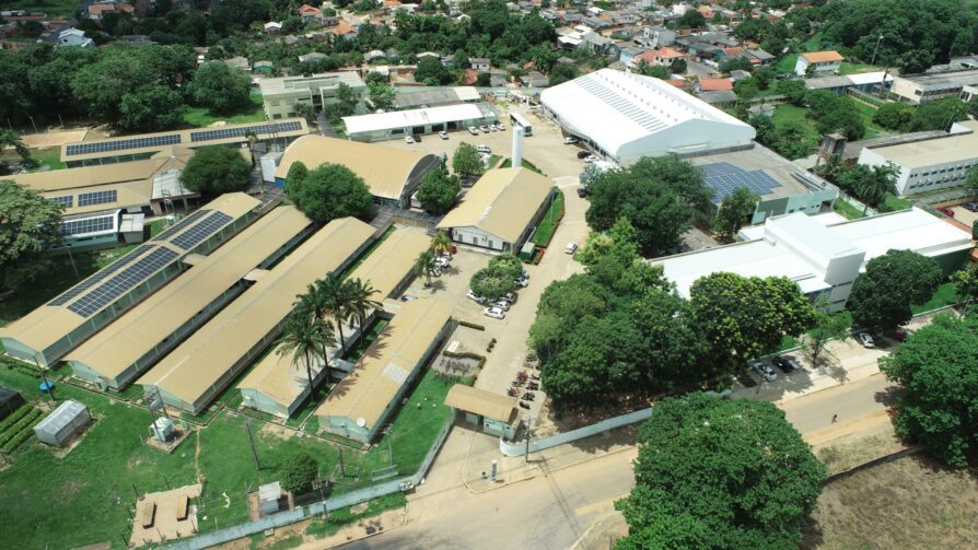 IFRO de Ji-Paraná abre 80 vagas para o Ensino Médio Integrado ao Técnico em Florestas
