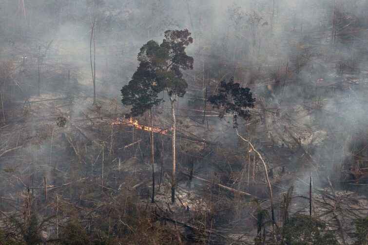 Fumaça em Itapiranga: veja orientações para proteger a saúde