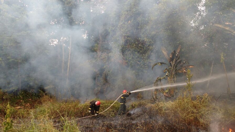 Qualidade do ar em Rio Preto da Eva exige atenção; veja como se proteger da fumaça