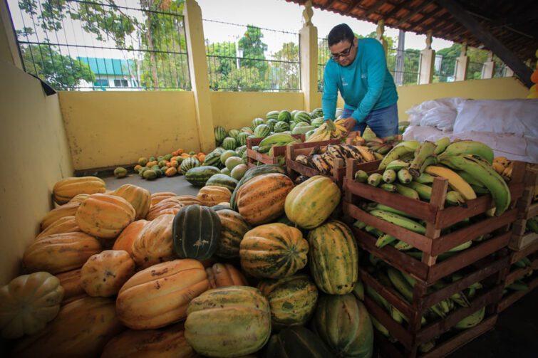 Parintins entrega 18 toneladas de alimentos a entidades sociais