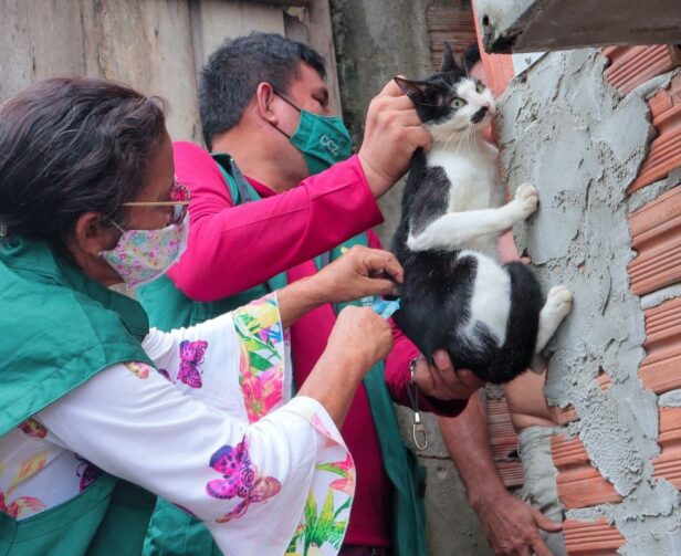 Manaus reforça vacinação antirrábica gratuita para cães e gatos em 27 pontos fixos