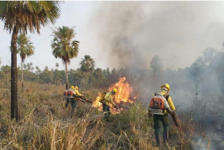 Novo Aripuanã registra focos de calor; veja cuidados contra queimadas