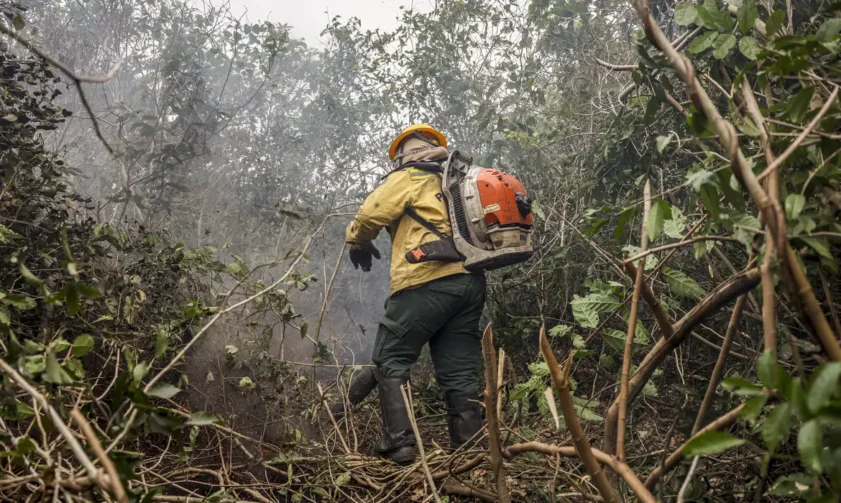 Amazonas tem 540 focos de incêndio nas últimas 48 horas