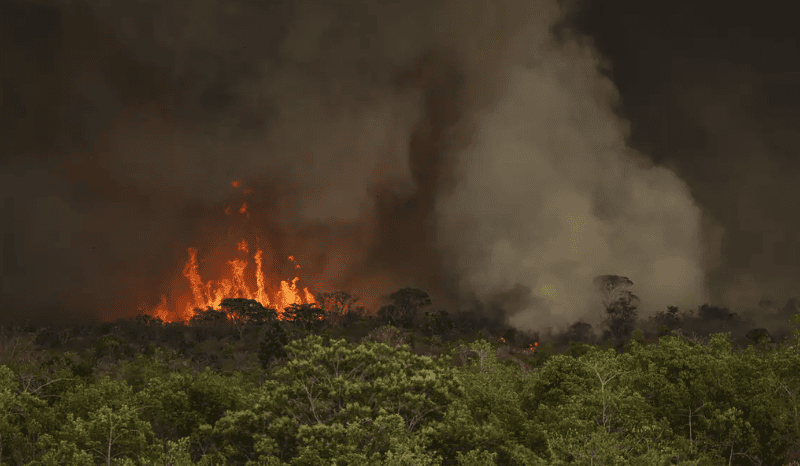 Queimadas em Codajás: veja como proteger a saúde durante a estiagem