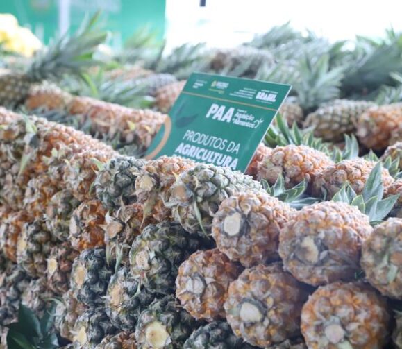 Amazonas vai comprar 1,6 mil toneladas de alimentos pelo Programa de Aquisição de Alimentos