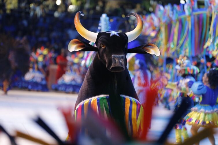 Boi Caprichoso completa 113 anos; saiba a programação de festa em Parintins